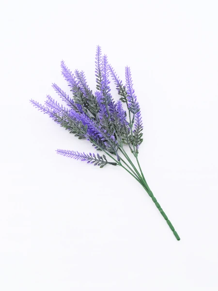 RAMO LAVANDA LAVANDA