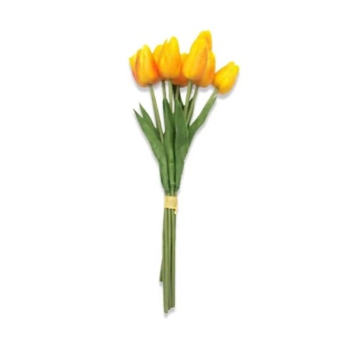 Ramo 9 Tulipanes - Naranja Ramo 9 Tulipanes - Naranja