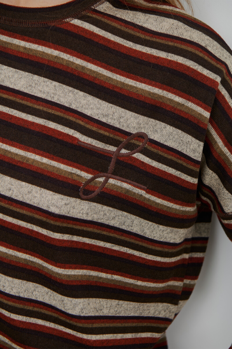 REMERA RAYA MARRON