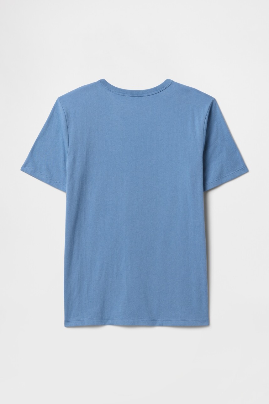 Remera Gráfico Niño Soft Cornflower