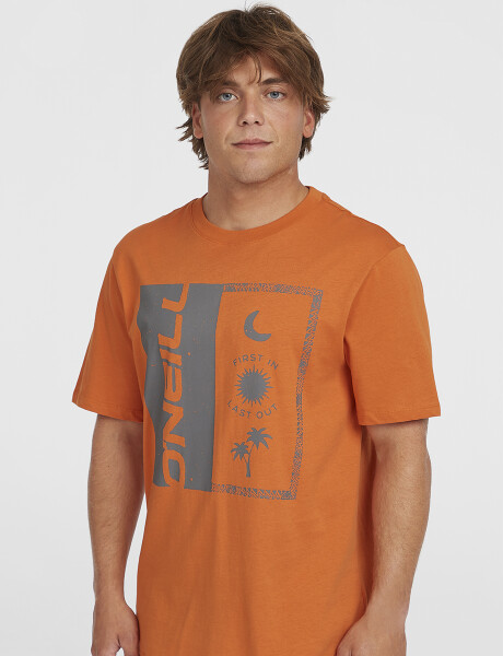 Remera O'Neill Front Print Negro Naranja