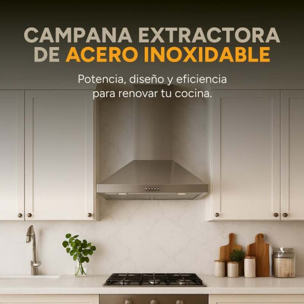 Campana De Cocina Extractor Goldtech 60cm Inoxidable Luz Variante Color Plateado