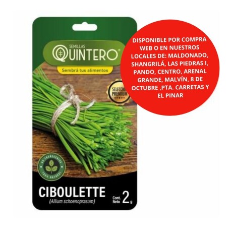 Semillas Ciboulette x 2g