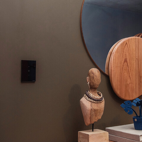 Dimmer inteligente WIFI touch negro TE3916