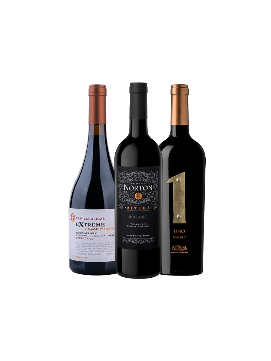 Pack Bacán Selección de Momentos - Para disfrutar sin apuro x3 vinos Pack Bacán Selección de Momentos - Para disfrutar sin apuro x3 vinos