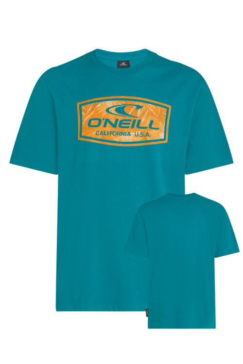 Remera O'Neill California Bloom - Celeste