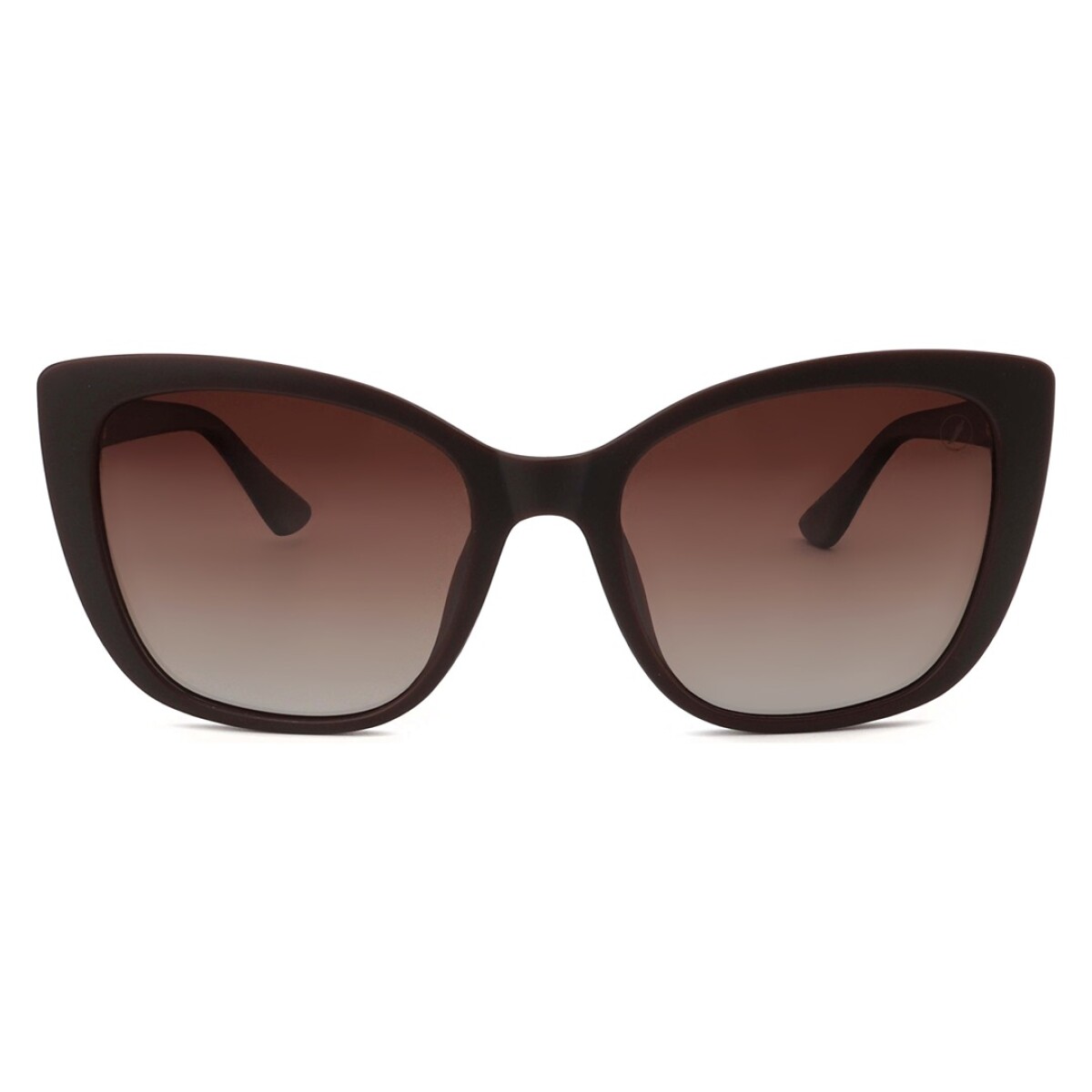 Lentes de Sol Chilli Beans Florida Cat - Marrón Matte 