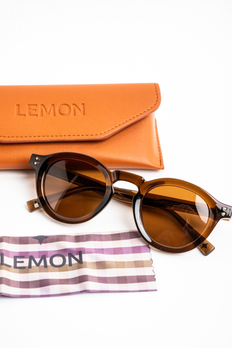 Lentes De Sol Polarizados Marron