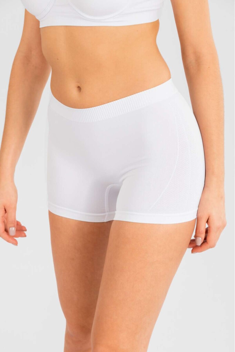 Boxer chicory - Blanco 