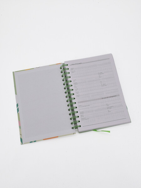 AGENDA 2027 BEIGE