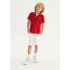 CAMISA POLO MM MASC VERMELHO ESCURO