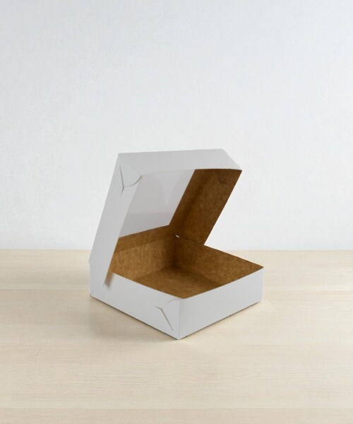 Caja flexi 53 13x13x4 con visor BLANCO