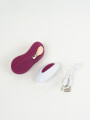 Vibrador Wayne Usb Color Unico