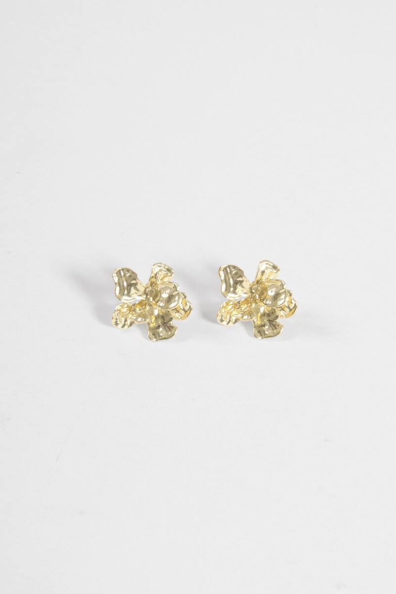 Caravanas estrella orgánica dorado