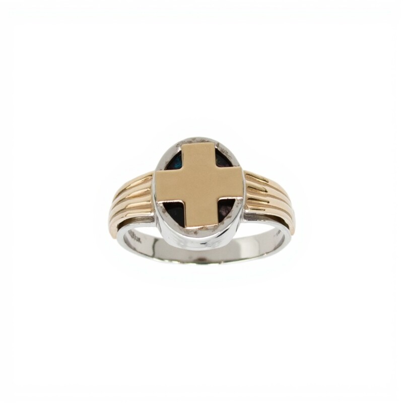 Anillo Profesión Médico-Plata y Oro-Piedra Ónix-AP5011 sinpiedra