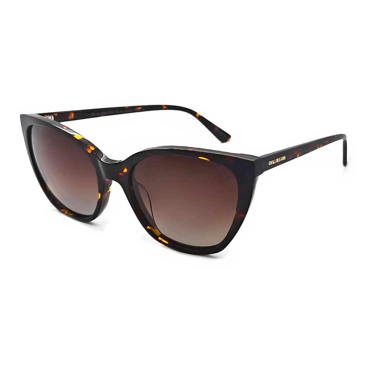 Lentes De Sol Chilli Beans Cat 