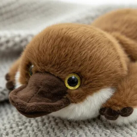 Peluches Animales Acostados Ornitorrinco