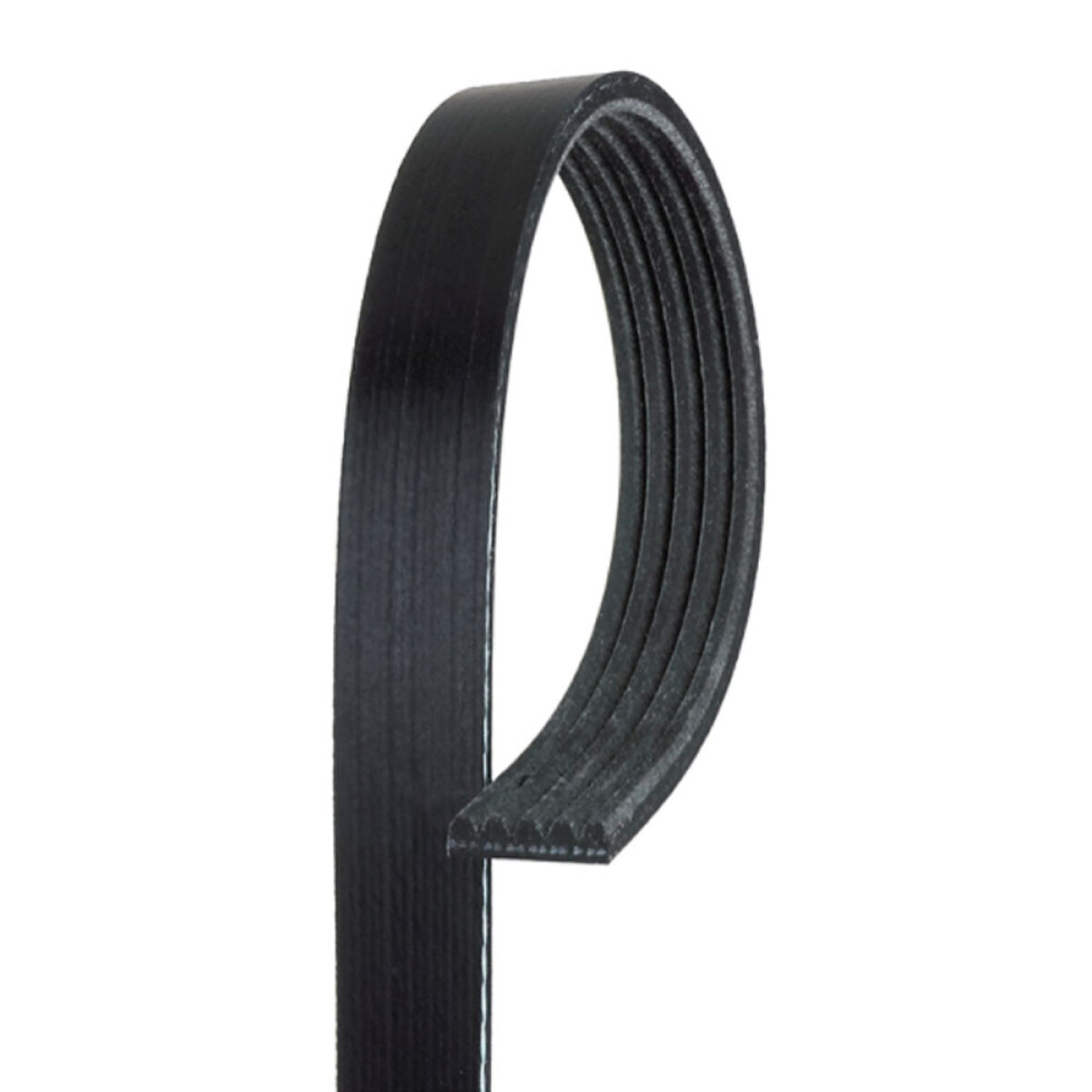 CORREA ALTERNADOR - CORREA GATES GATES 