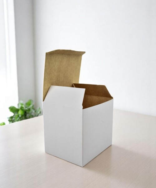 Caja Flexi Plegable 12x10x11cm BLANCO