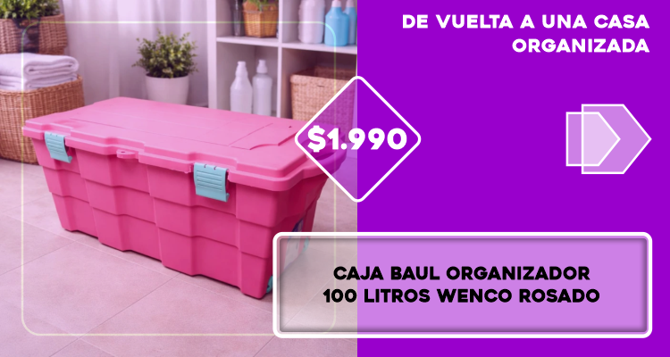Caja Organizadora Robusta