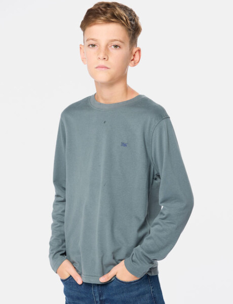 REMERA LISA Petroleo