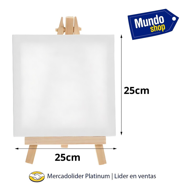 Pack X 5 Lienzo Bastidor 25x25cm Cuadro Pintura Oleo Blanco Blanco