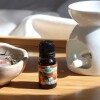 Aceite 10ml hornito Cítrico