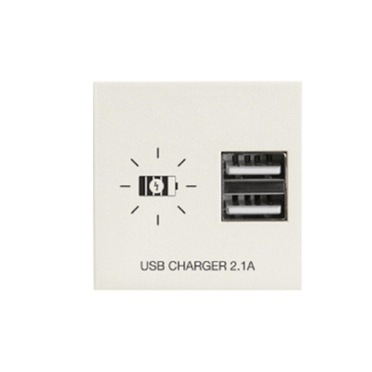 Módulo cargador p/2 USB 2,1A Presta marfil - C51622 