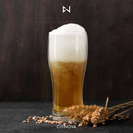 Set X6 Vasos Cerveceros Hops en Vidrio de 570Ml Citinova Transparente