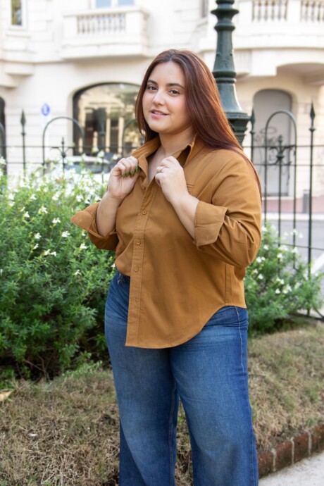 Camisa Parisienne Marron