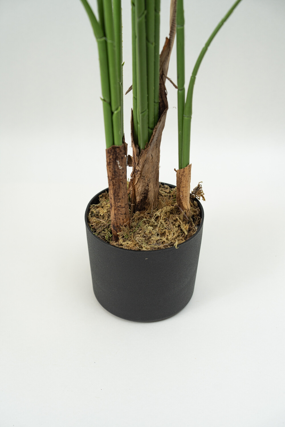 Planta Palmera Color Unico