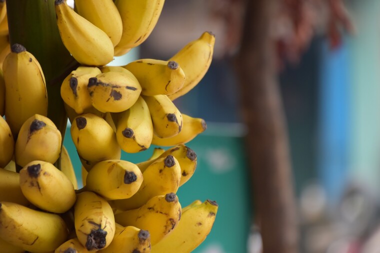 ¡RECETA! Barritas proteicas de banana