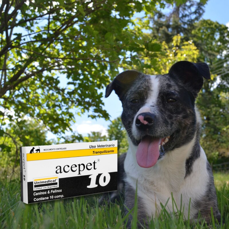 ACEPET 10 X CAJA DE 10 COMPRIMIDOS ACEPET 10 X CAJA DE 10 COMPRIMIDOS