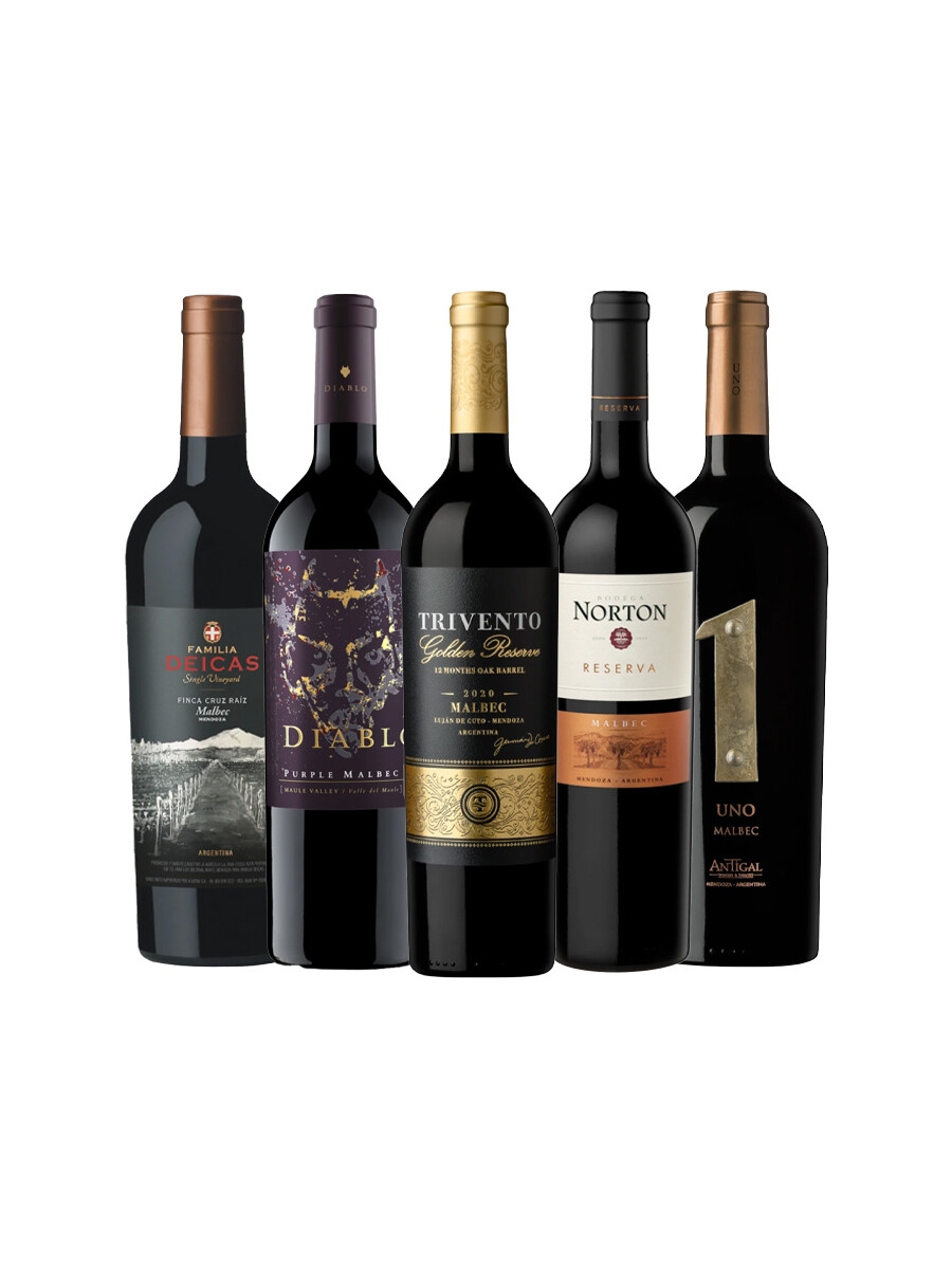 Pack Selección Variedades Protagonistas x5 vinos Malbec Pack Selección Variedades Protagonistas x5 vinos Malbec
