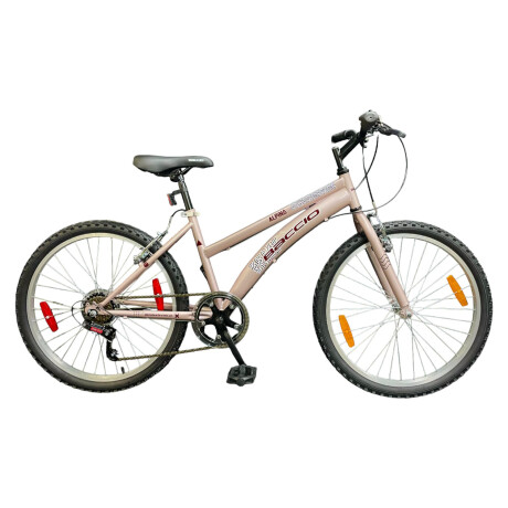 Bicicleta Baccio Alpina Lady Montaña rodado 26 con 6 cambios ROSA/BORDO