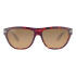 Serengeti Pancho 601002 polarized Serengeti Pancho 601002 Polarized