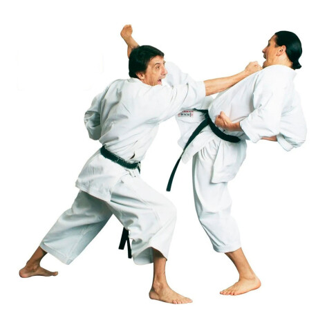 Traje Uniforme De Karate Kimono Karategui Calidad Blanco