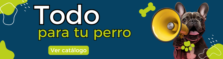 Todo para tu perro N