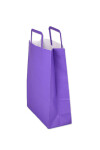 Bolsa lisa acuario 22x10x30 cm VIOLETA