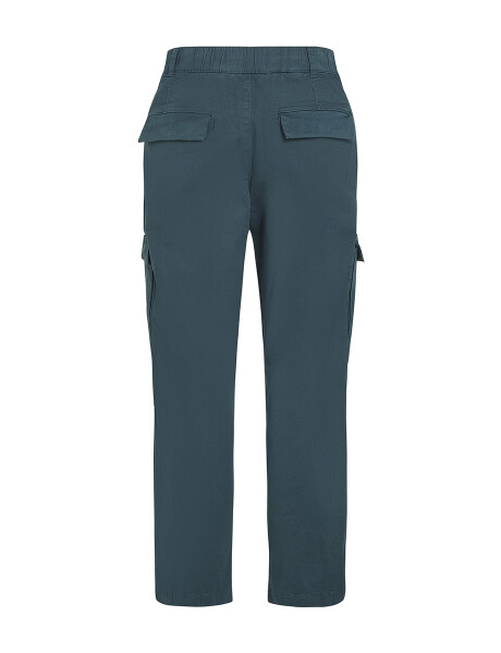 Pantalones Essentials Cargo Steel Pantalones Essentials Cargo Steel