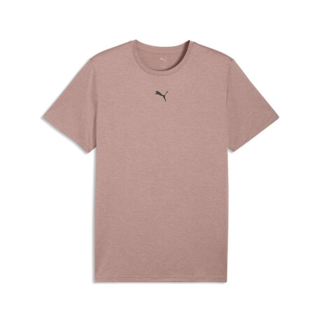 Remera Tad Essentials Heather Cat Tee de Hombre Crema