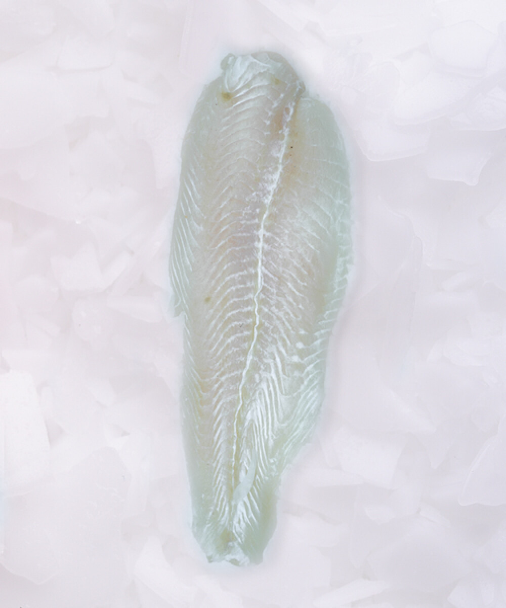 Filete de Pangasius - 1Kg 