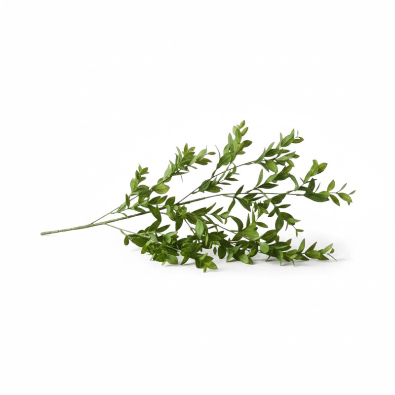 Rama de Hojas Rama de Hojas