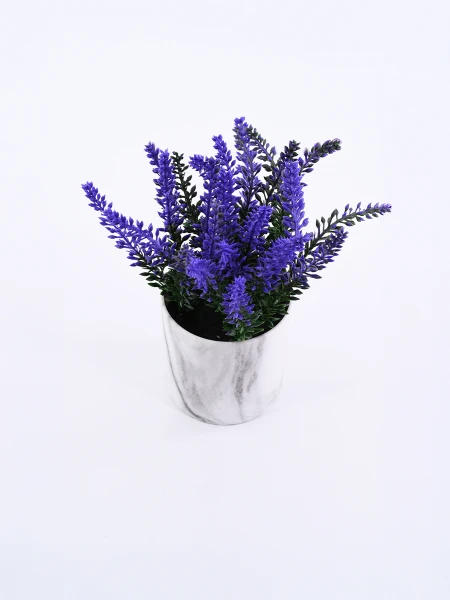 LAVANDA CON MACETA VERDE