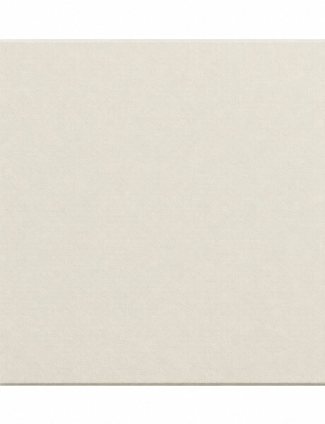 PIEDRA REFRACTARIA PIZZA 30X38X1.2CM PIEDRA REFRACTARIA PIZZA 30X38X1.2CM