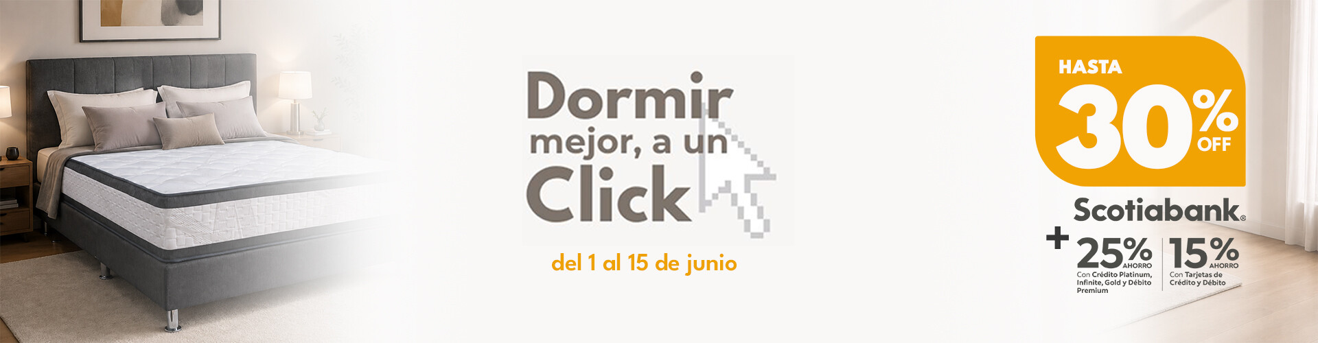 Home Slider Ciber