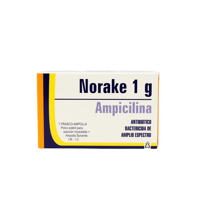 NORAKE 1 GR. CJ X 1 AMPOLLA única