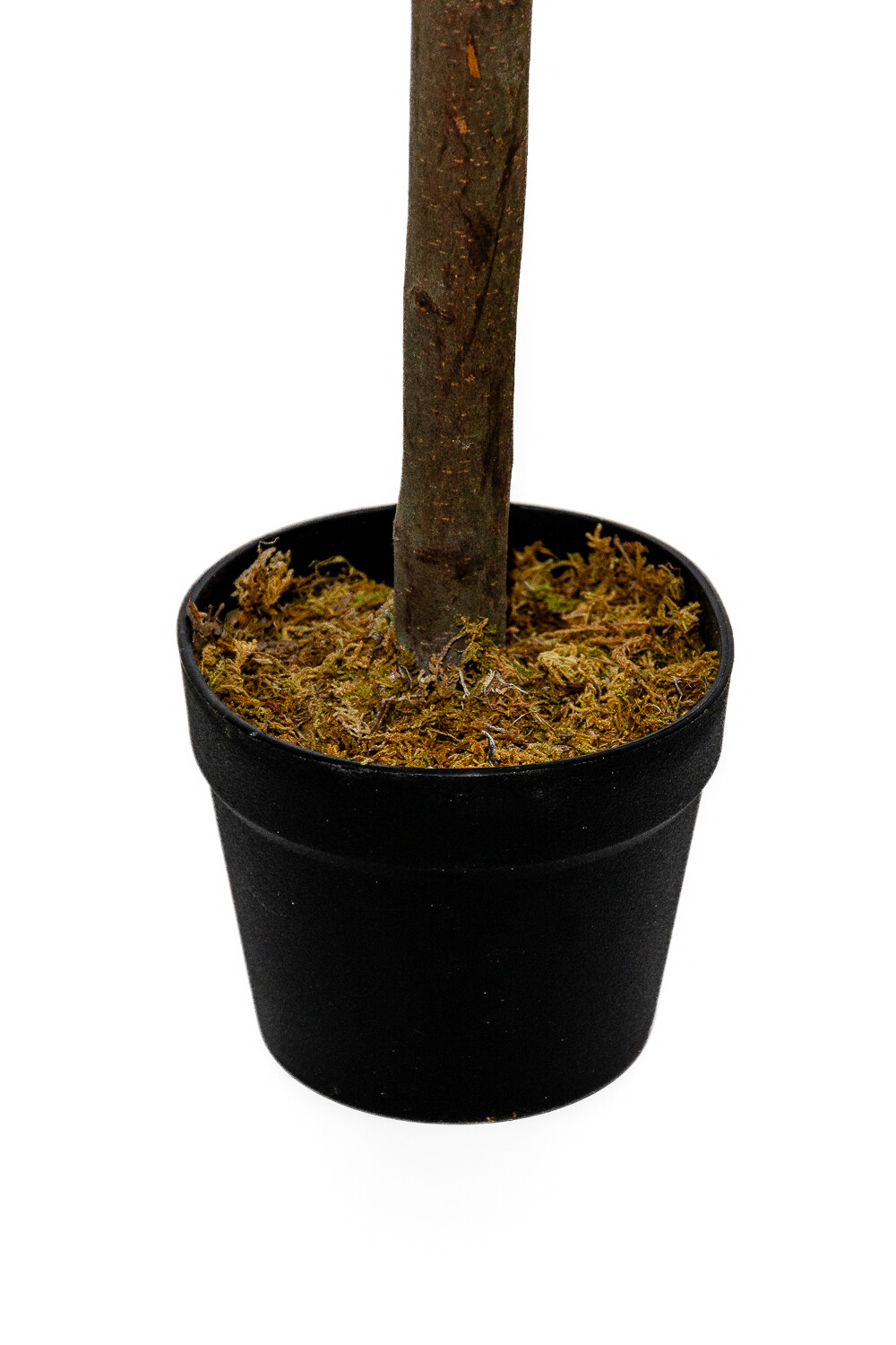 Planta Higuera 130cm Color Unico