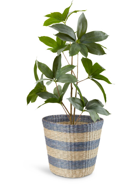 Cesta VESTER Ø35xA30cm hierba marina Cesta VESTER Ø35xA30cm hierba marina