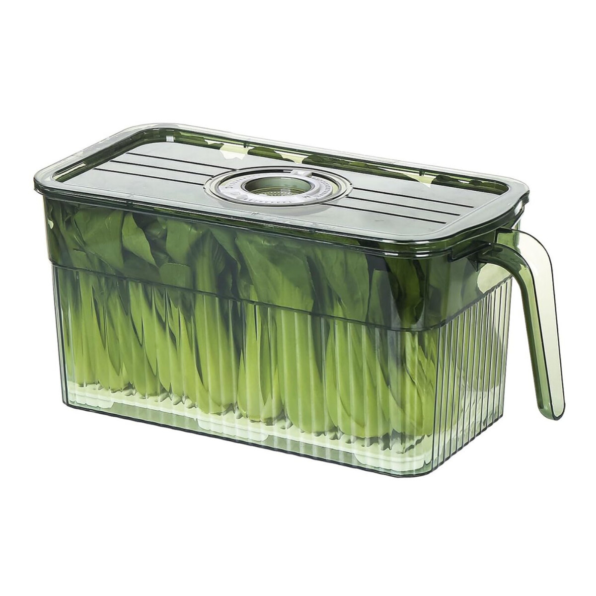 Caja Almacenamiento Alimentos 30x15x15 Registro Fecha C/ Asa 
